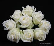 Sidonie, Antique Rose (OGR)